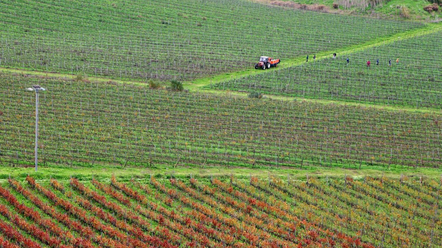 Palermo_Private_Wine_Tour.JPG