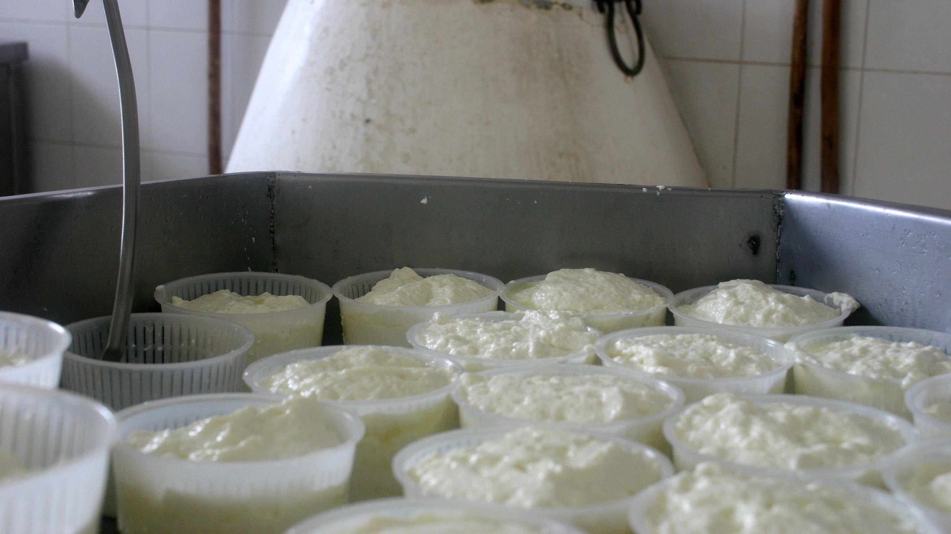 Sicily_Ricotta_Preparation_Palermo.JPG