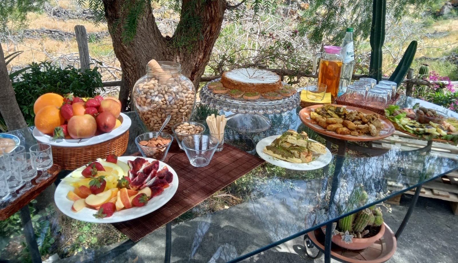 Pistachio_Farm_Private_Tour_Mount_Etna.jpg