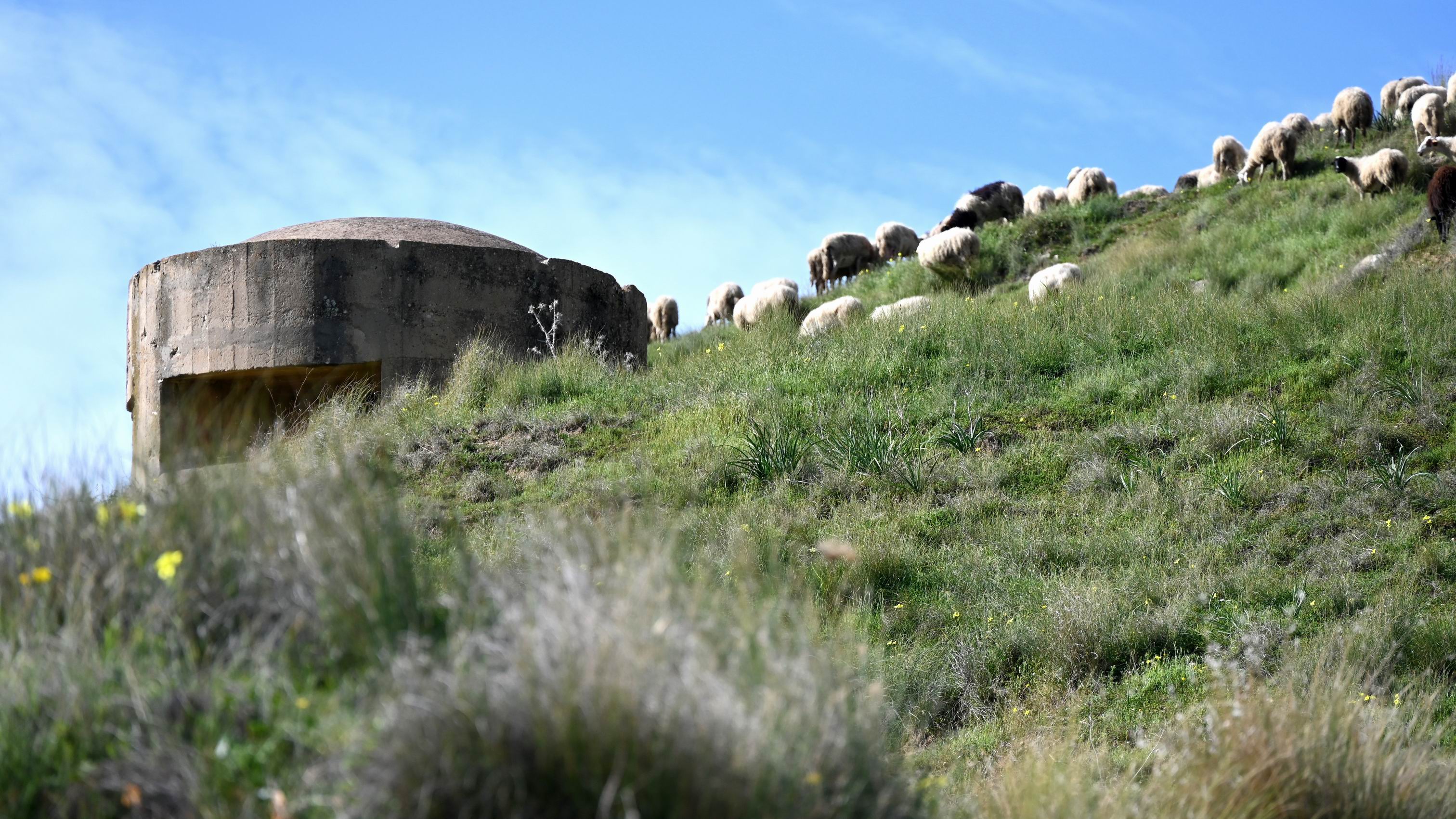 WWII_Bunkers_Sicily_Desusino_Private_Tour.JPG