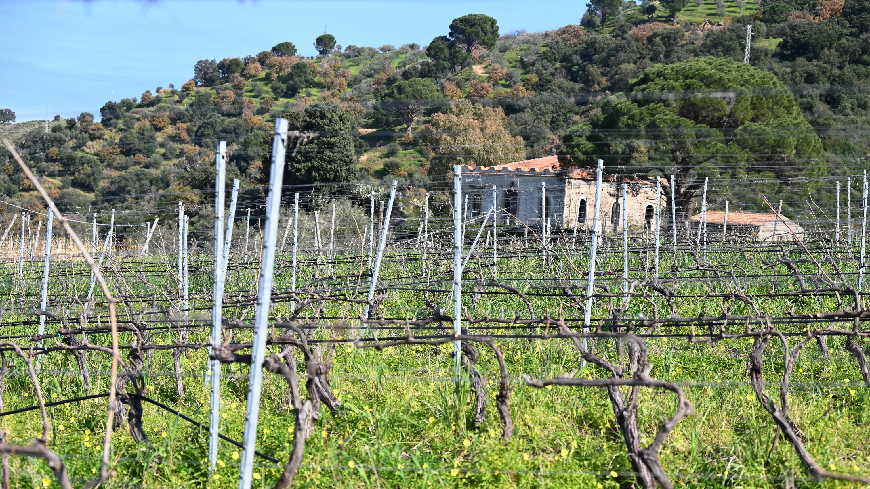 Tindari_Messina_Private_wine_tour.JPG