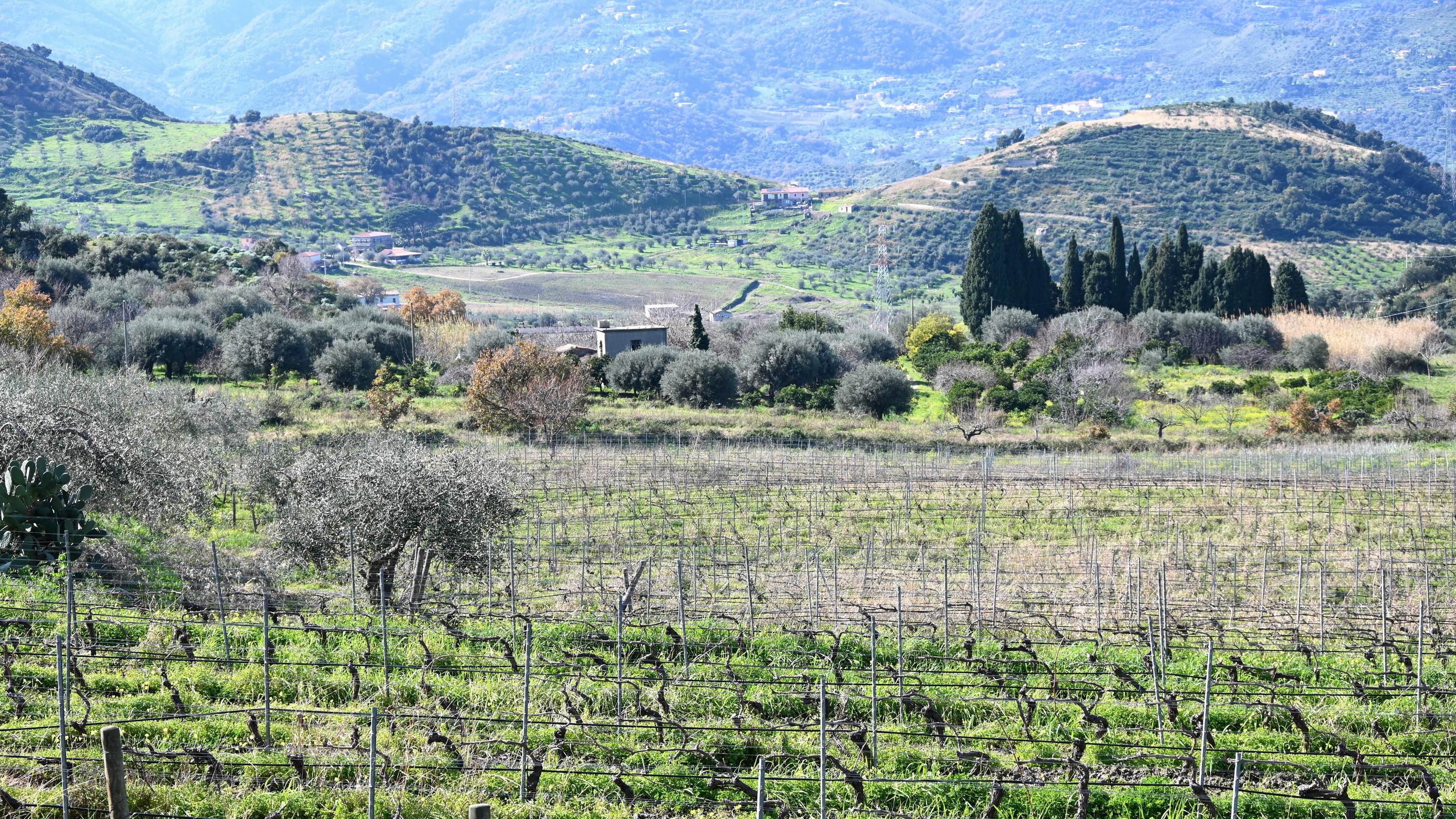 Tindari_Private_guided_Tour_with_wine_tasting.JPG