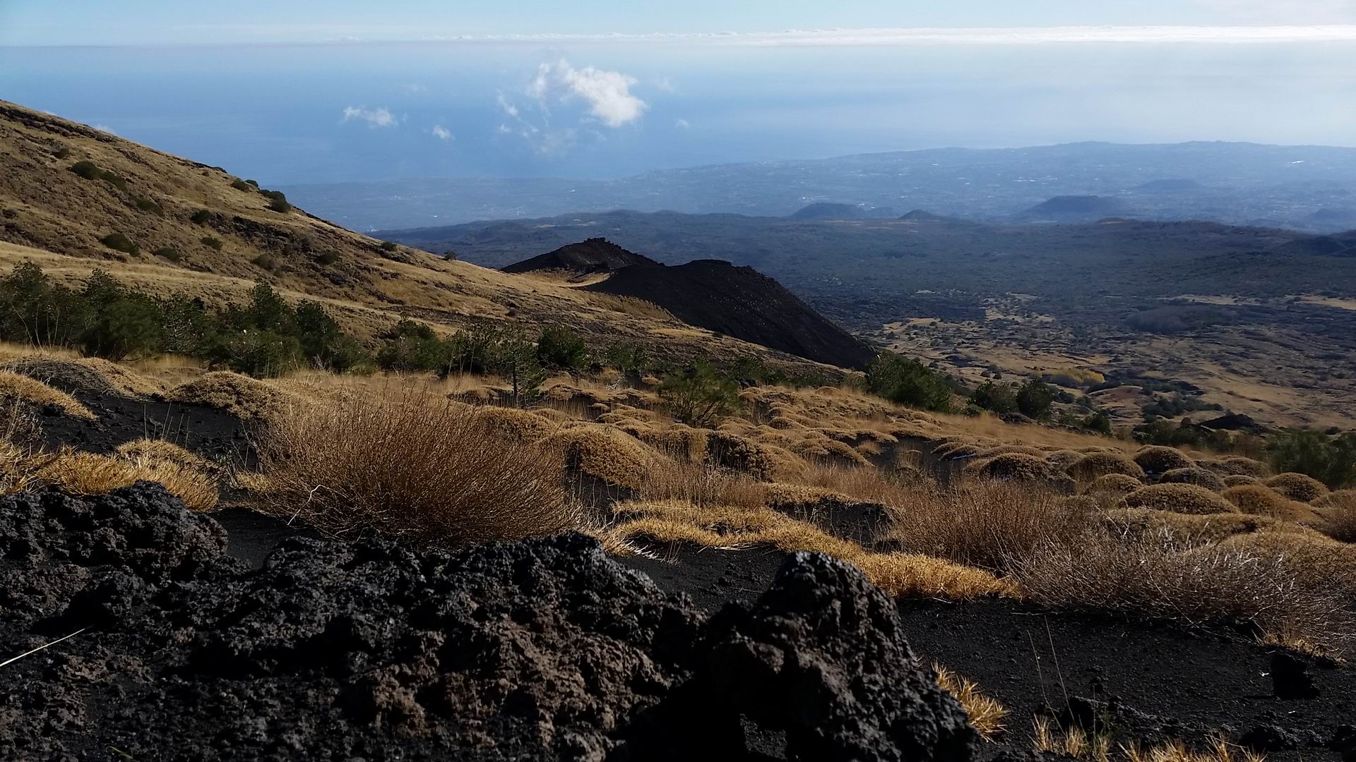 Etna_Schiena_asino_valle_bove_trail_private_trekking_tour.jpg