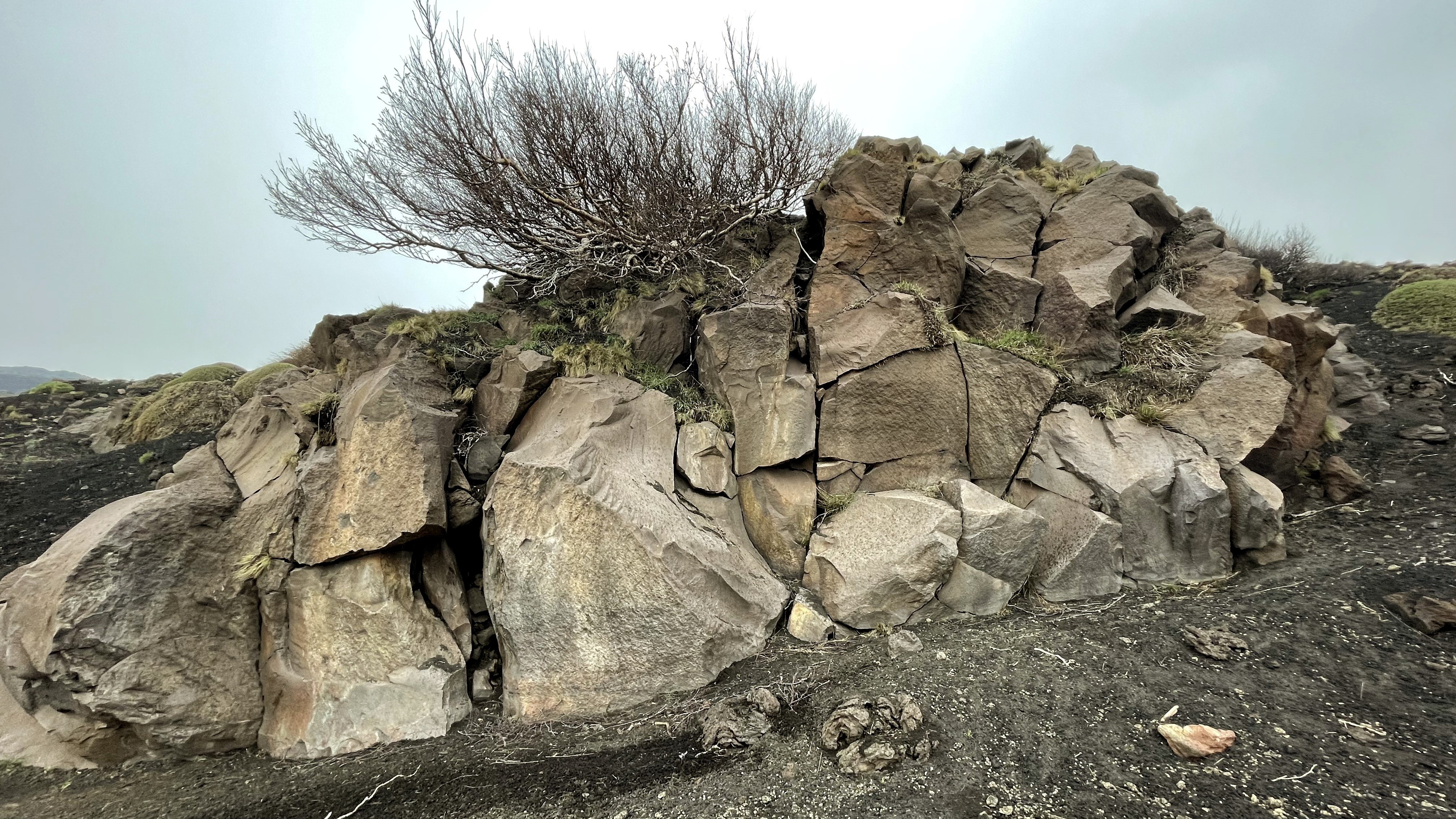 Valle_Bove_Etna_trekking_Tour-with_geologist.jpg